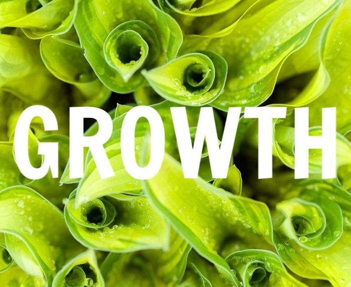 growth-opportunities-in-business.jpg